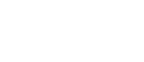 Algosoft LTD Footer Logo